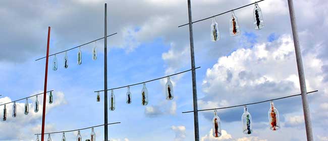 Flaschen im Wind