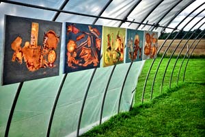 Gew&auml;chshausgalerie