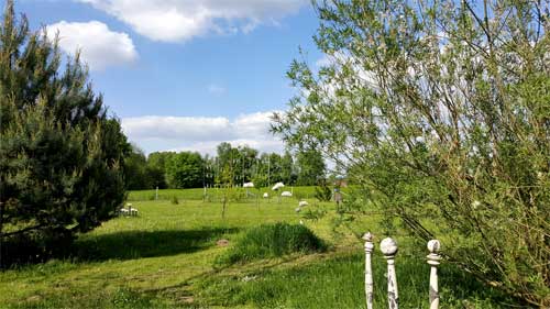 Garten